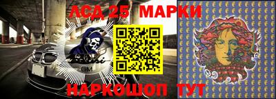 крисы Тверь