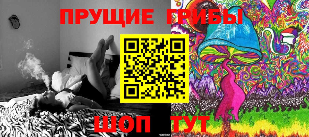 Темрюк  Псилоцибиновые грибы Cubensis  Галлюциногенные грибы прущие грибы  Вход с VPN 