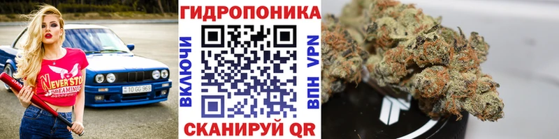 что такое Темрюк Каннабис сатива